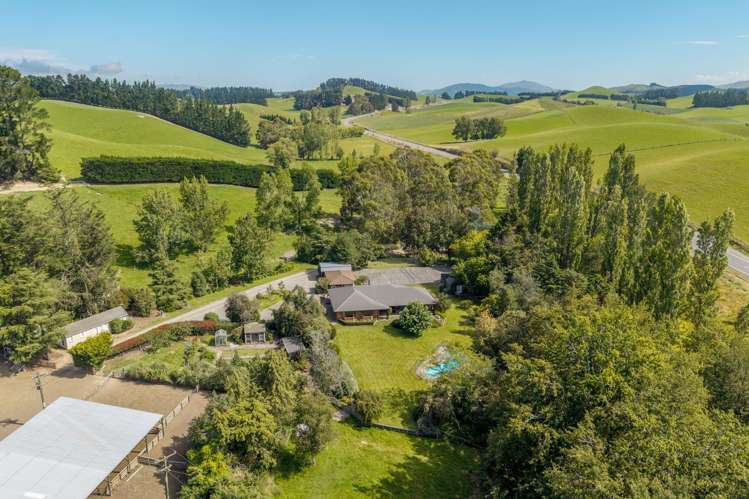 299 Domett Road Domett_22