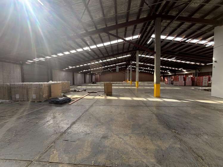 11 McDonald Street Morningside_6