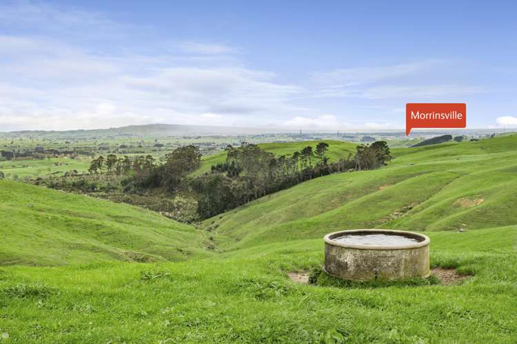 637 to 897 Tahuroa Road Morrinsville_8