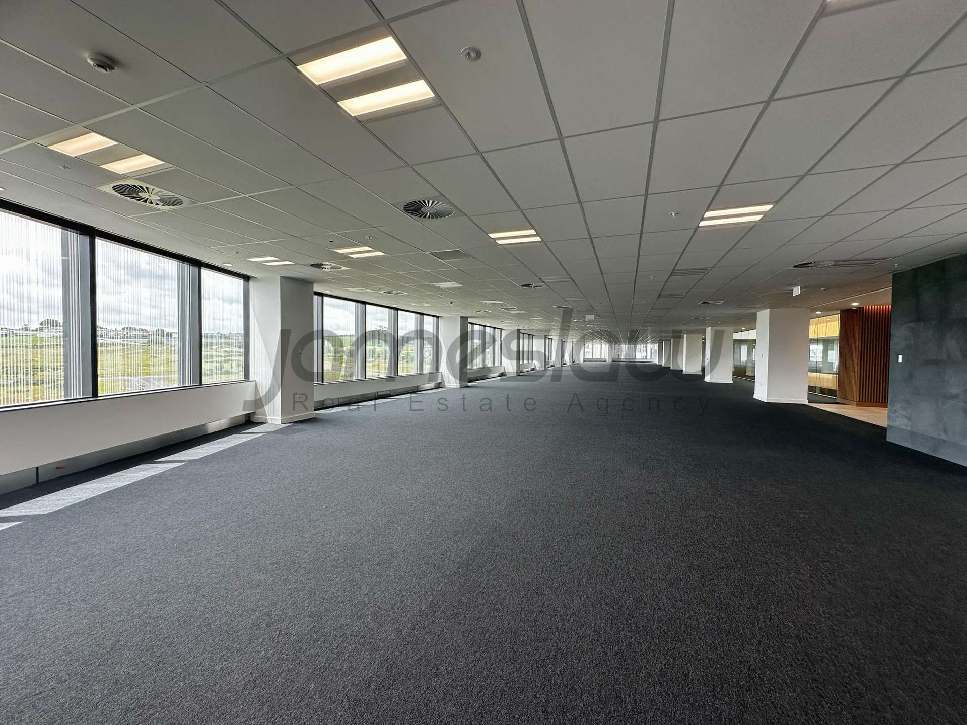 Level 6/6 Munroe Lane Albany_0
