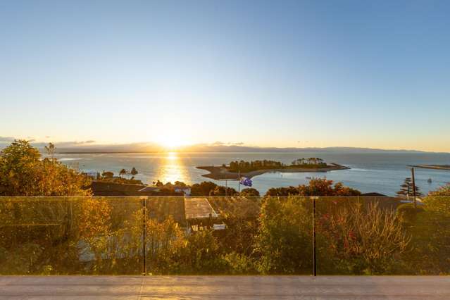 82 Princes Drive Britannia Heights_2