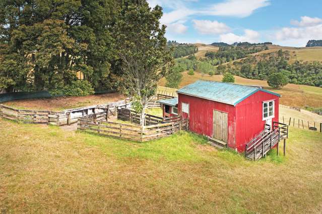 1883 Ponga Road Hunua_3