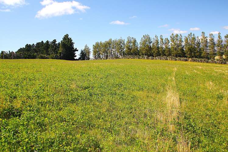 138 Ridgedale Road Te Anau_4