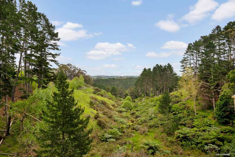 194 Ara-Kotinga Whitford_6