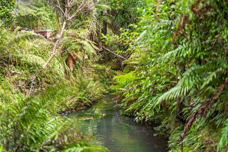 792 State Highway 1, Dome Valley Warkworth_24