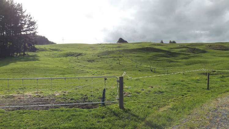 232 Tavinor Road Otaika_14