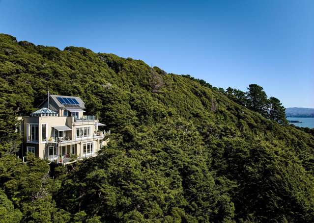 Castle in the treetops