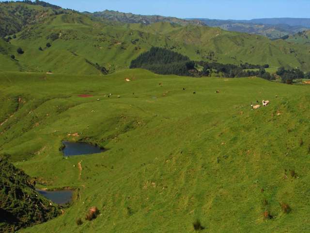 1843 Oio Road Ruapehu-King Country Surrounds_4