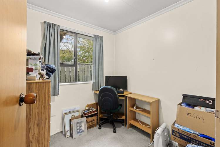 7 Pain Street Bulls_9