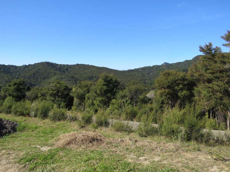 890 Tuateawa Road Waikawau_6