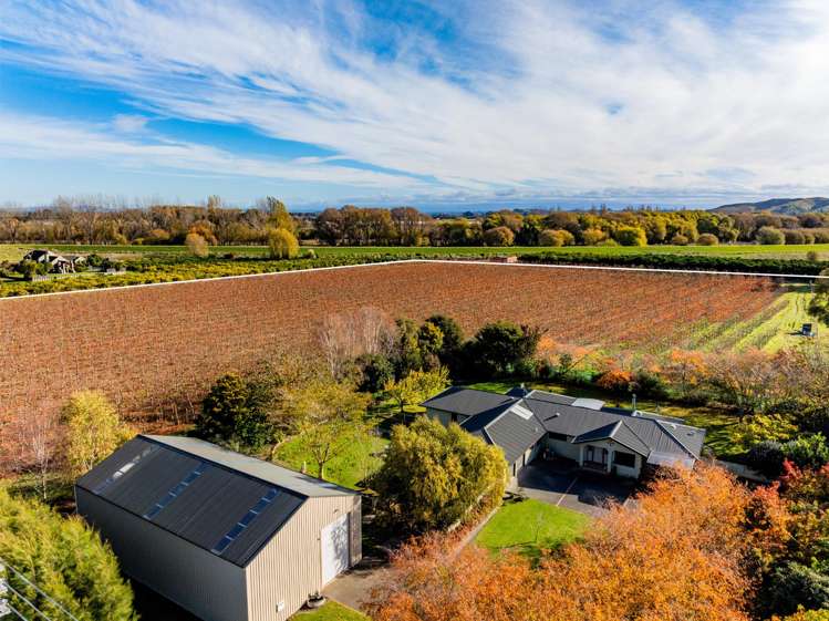 145 Powdrell Road Meeanee_6