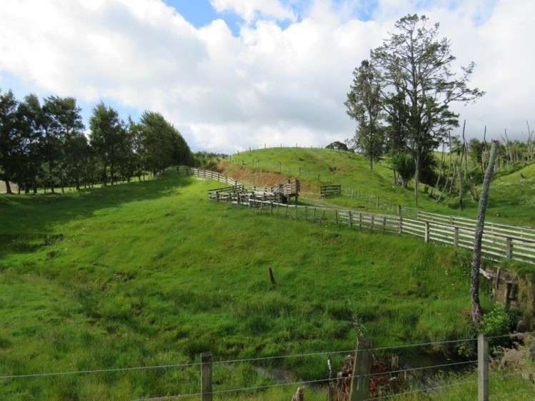 358b Lockington Road Aongatete_15