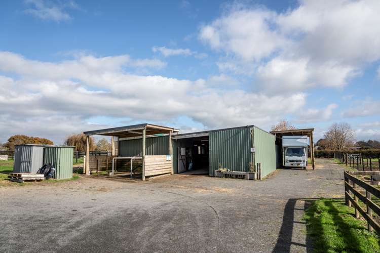 2/101 Racecourse Road Cambridge_11