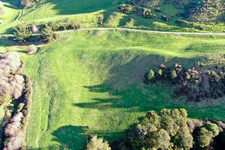 Maniatutu Road Pongakawa_5