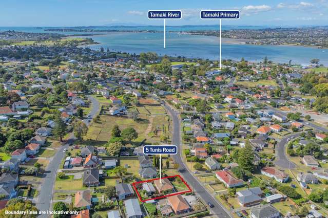 5 Tunis Road Panmure_3