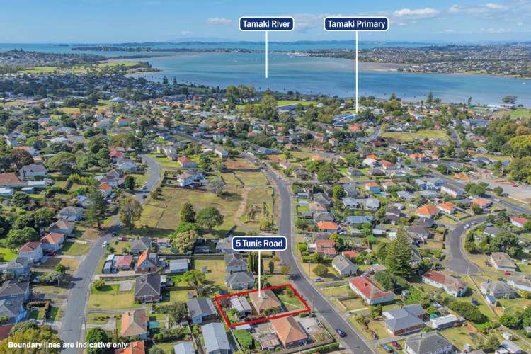 5 Tunis Road Panmure_3