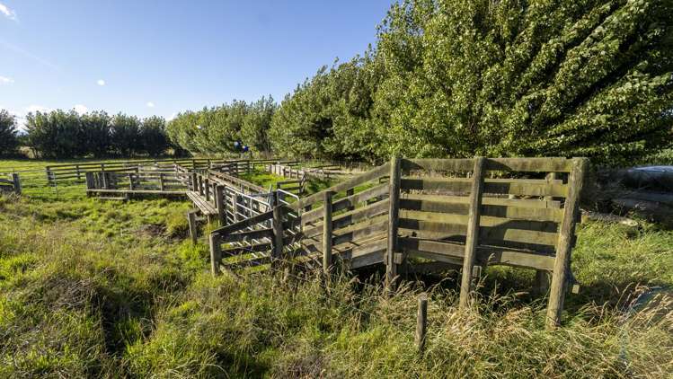 167 Ponatahi Road Martinborough_8