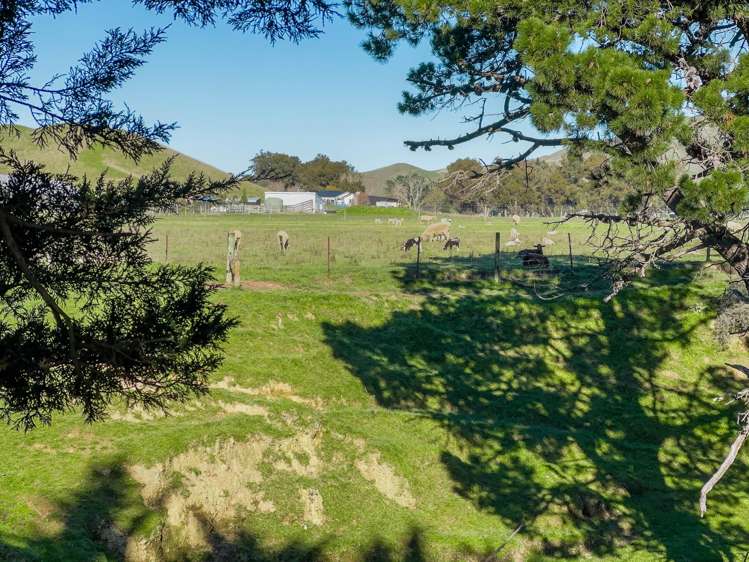 453 Tetley Brook Road Seddon_43