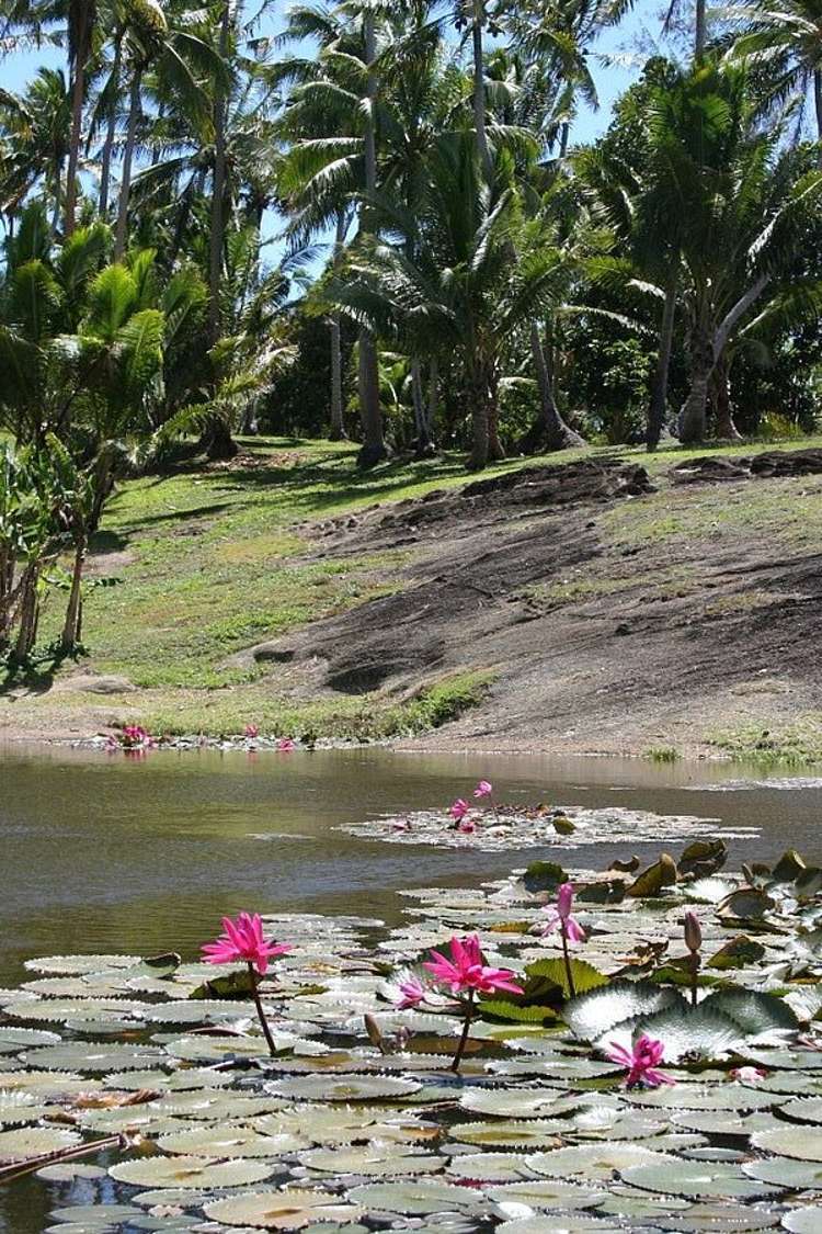Onyx Island Fiji Vanua Levu_19