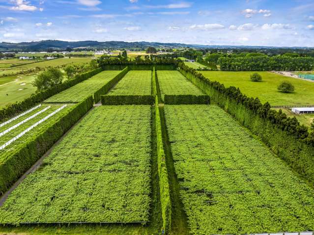 155 Phillip Road Takanini_3