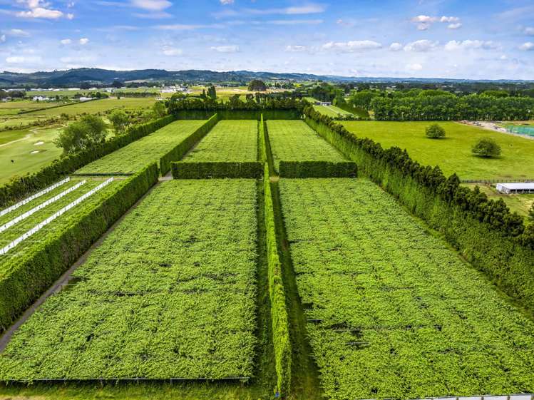 155 Phillip Road Takanini_3