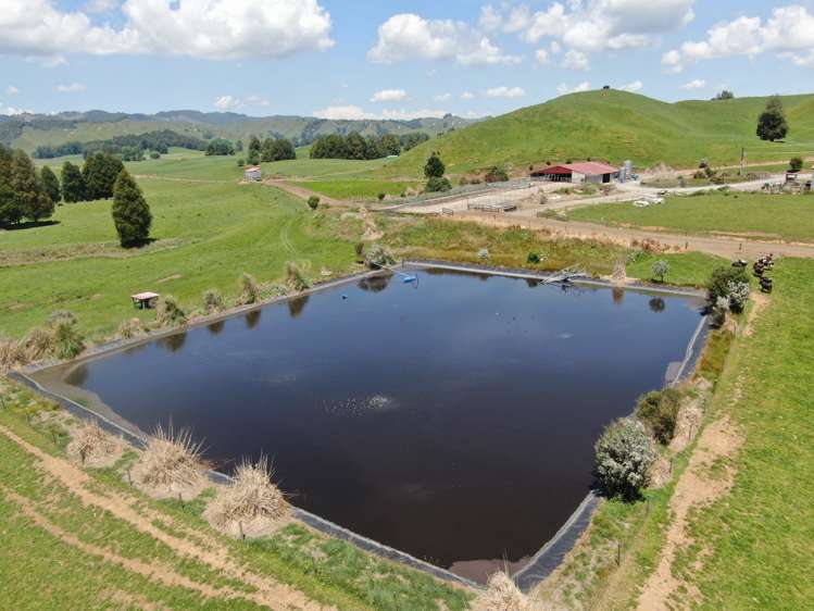 24 Pukeuha Road Aria_17