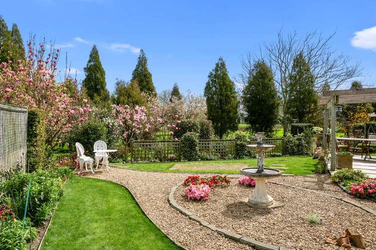 23/11 Manuka Street Matamata_14