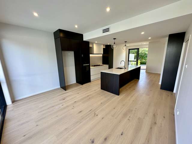 24 Burch Street Mount Albert_1