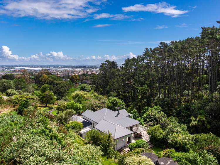 91 Browns Lane Flat Bush_6