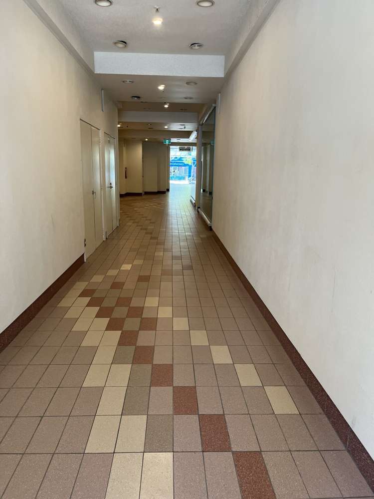 65 Clyde Road Browns Bay_3