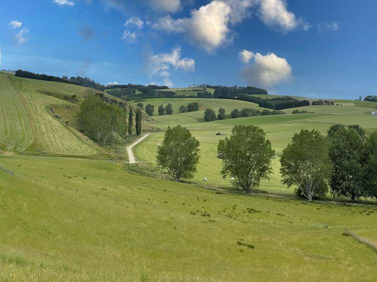 446 Skinner Road Clinton and Surrounds_14