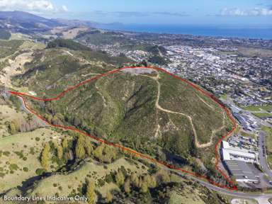 22 Nikau Palm Road_2