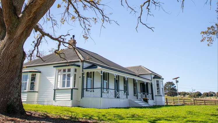 3 Daisy Burrell Drive Gulf Harbour_40