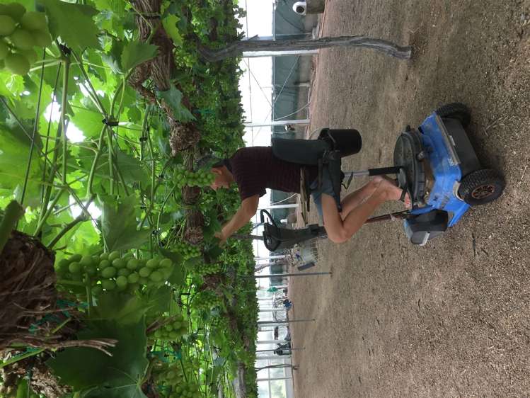 392 Ngarua Road Waitoa_2