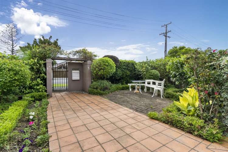 44 Dudley Road Mission Bay_5