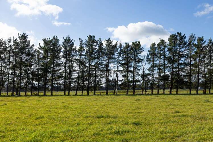 Lot 2, 122 Cross Line Greytown_6