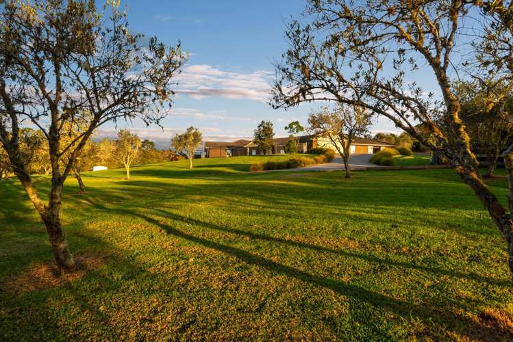 253 Horseshoe Bush Road Dairy Flat_35