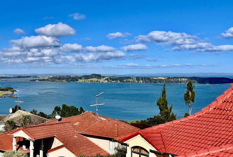 3d Aldersgate Road Hillsborough_17