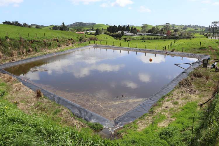 828 Hursthouse Road Inglewood_18