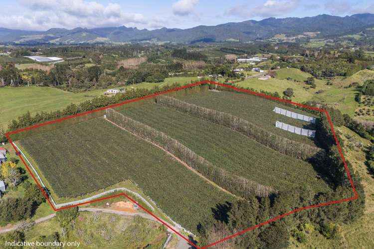 168 Henry Road Katikati_7