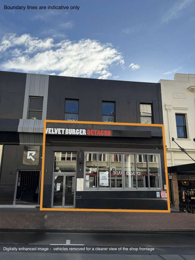 150 Stuart Street Dunedin Central_1