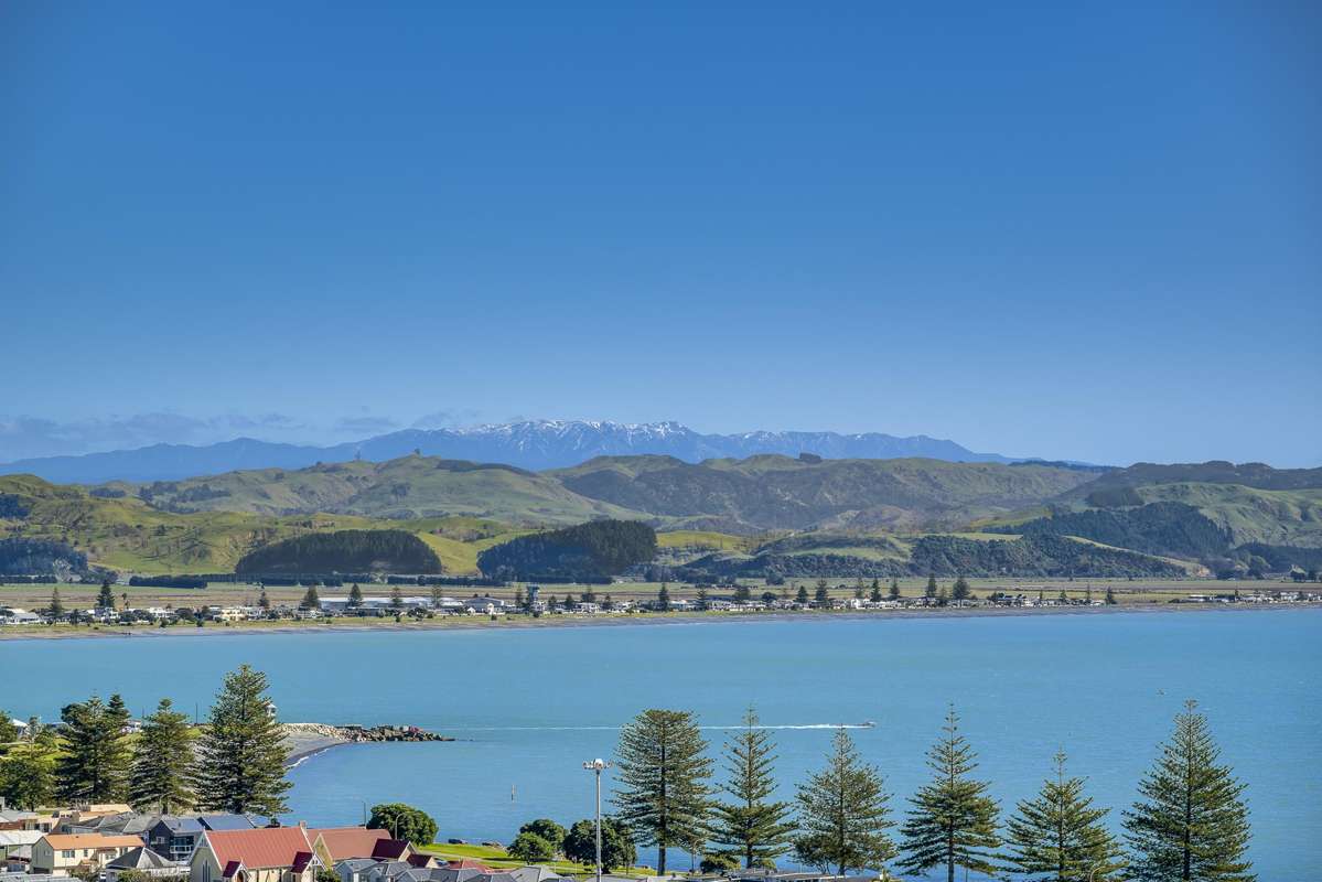 34 Roslyn Road_5