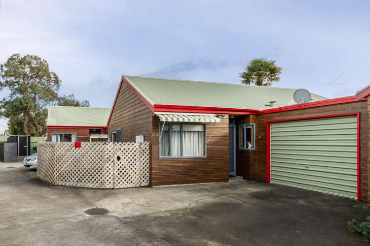 3/411 Eastbourne Street East Hastings_11