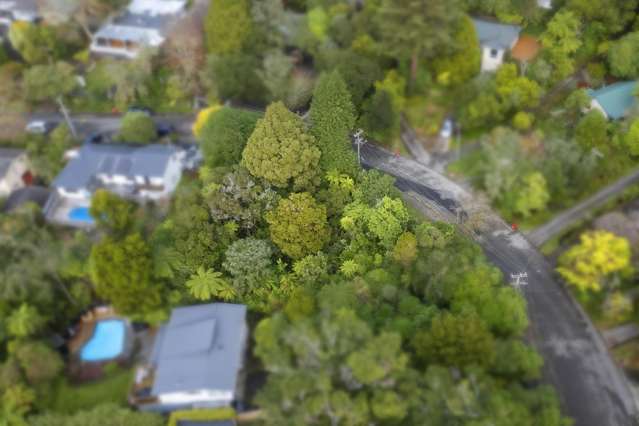 81 Wyndham Road Pinehaven_3