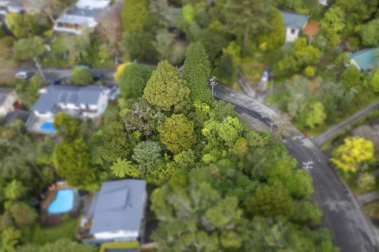 81 Wyndham Road Pinehaven_3