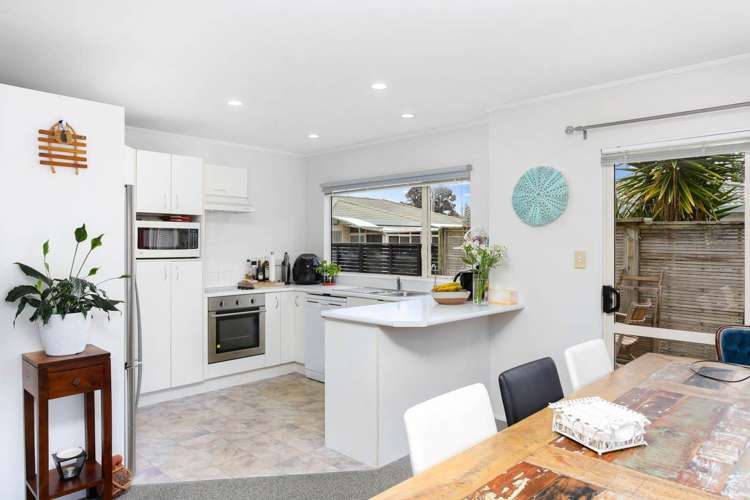 494b Hibiscus Coast Highway Orewa_7