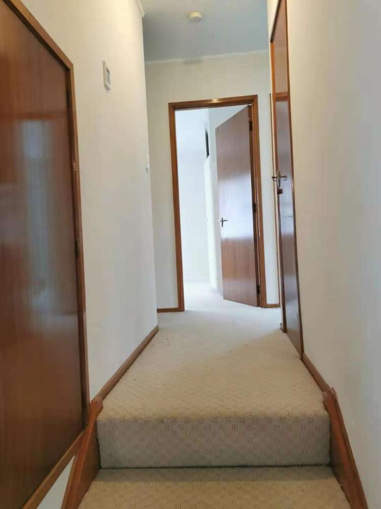 59 Sheridan Drive New Lynn_5