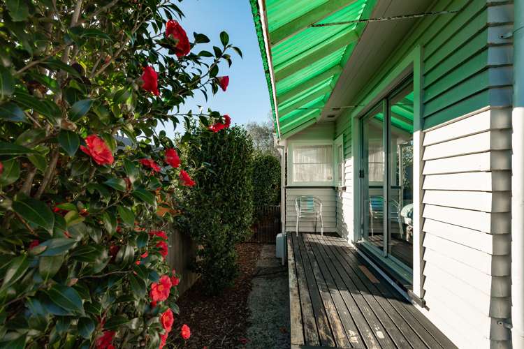 17 Mitcham Avenue Forest Lake_17