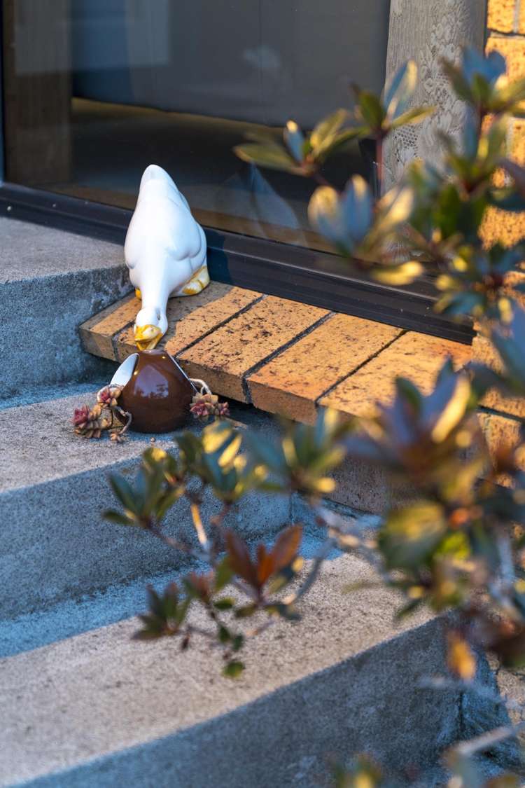 20 Muscat Place Henderson_38