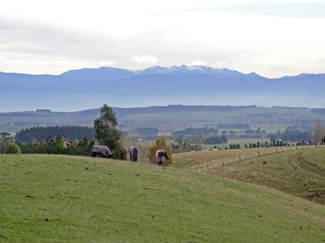 21 Southdown Drive Martinborough_2